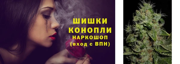стафф Нефтегорск